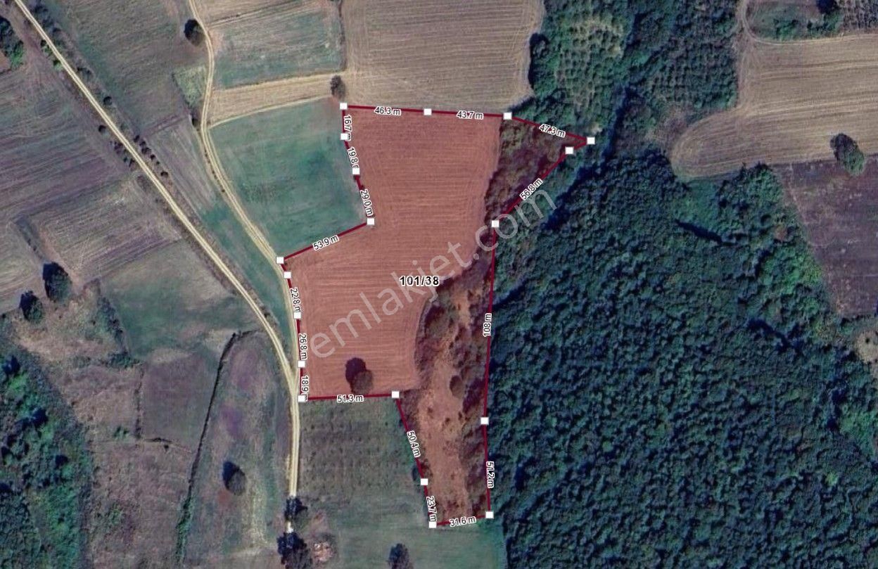 Kandıra Arıklı Göletine Yakın18.583 M2 Satılık Tarla - Görsel 3