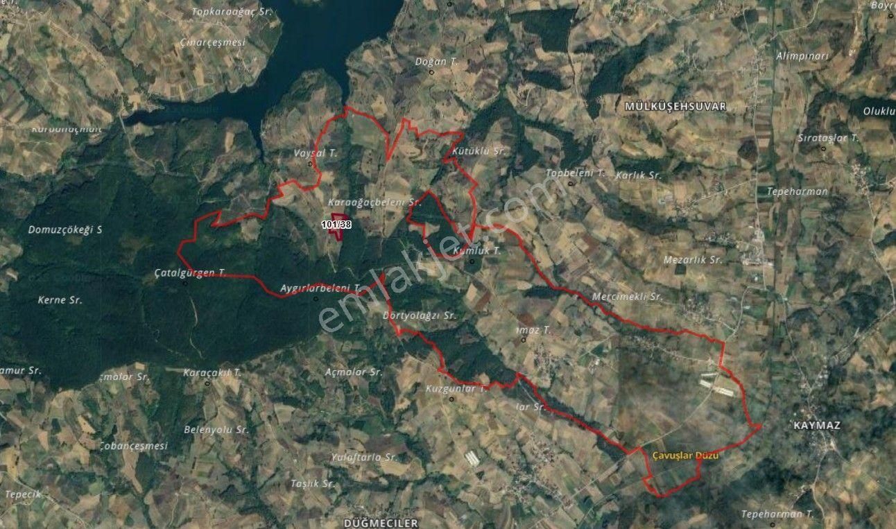 Kandıra Arıklı Göletine Yakın18.583 M2 Satılık Tarla - Görsel 6
