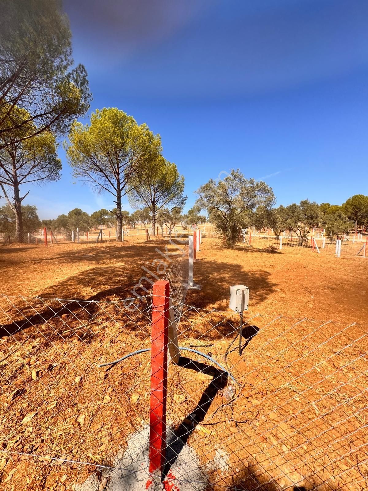 300 Bin Tl 'ye Yatırım Fırsatı Kooperatif Hisseli - Görsel 2