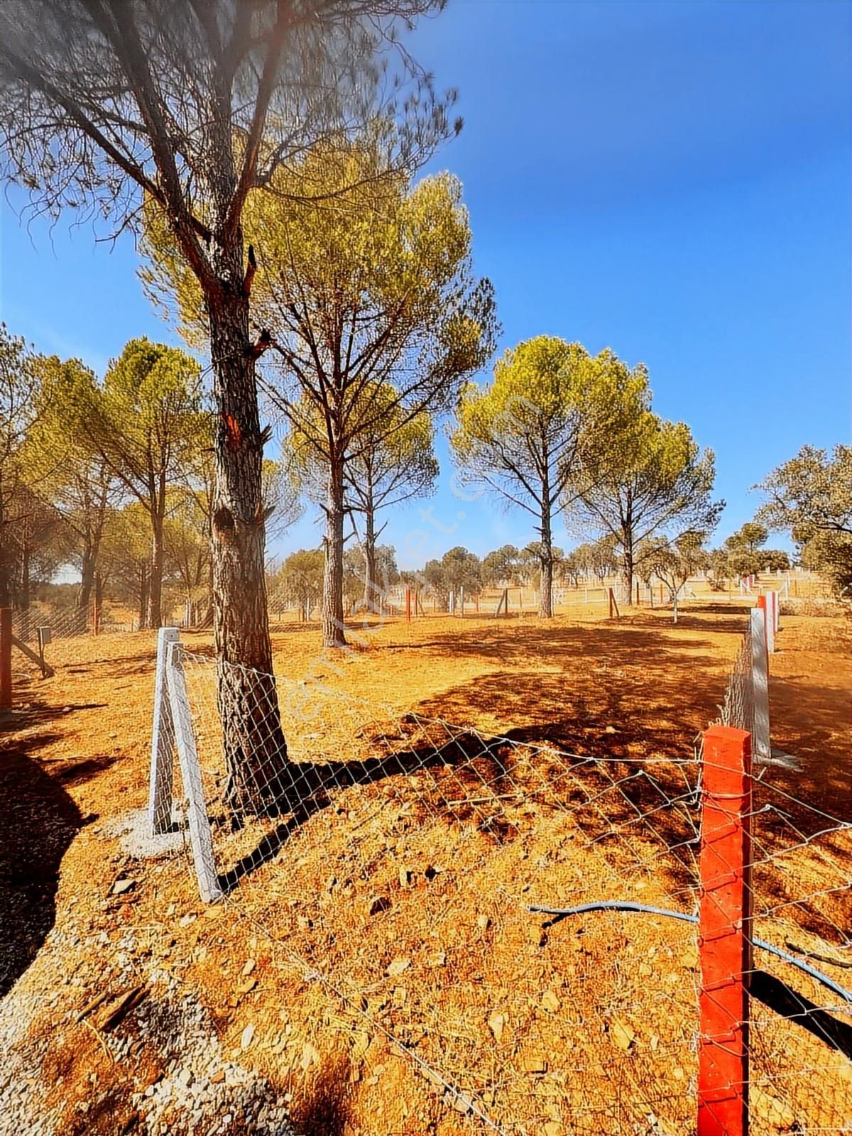 300 Bin Tl 'ye Yatırım Fırsatı Kooperatif Hisseli - Görsel 7