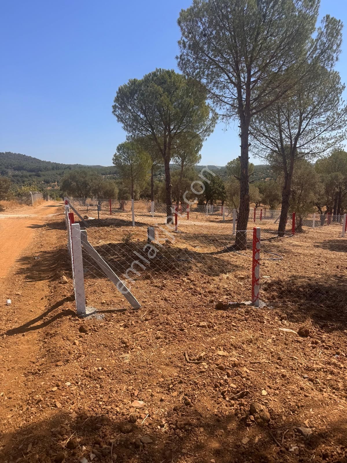 300 Bin Tl 'ye Yatırım Fırsatı Kooperatif Hisseli