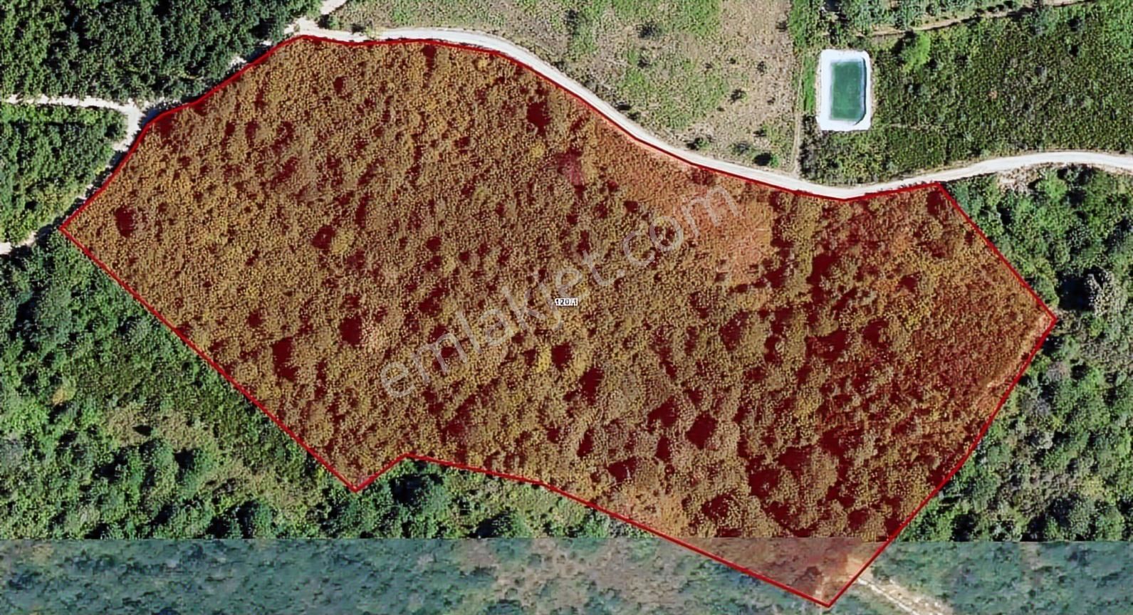 Örcün'de 23.852m2 Yatırımlık Fırsat Tarla - Görsel 2