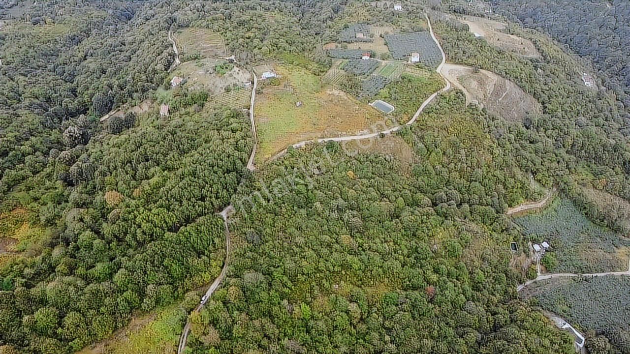 Örcün'de 23.852m2 Yatırımlık Fırsat Tarla - Görsel 6