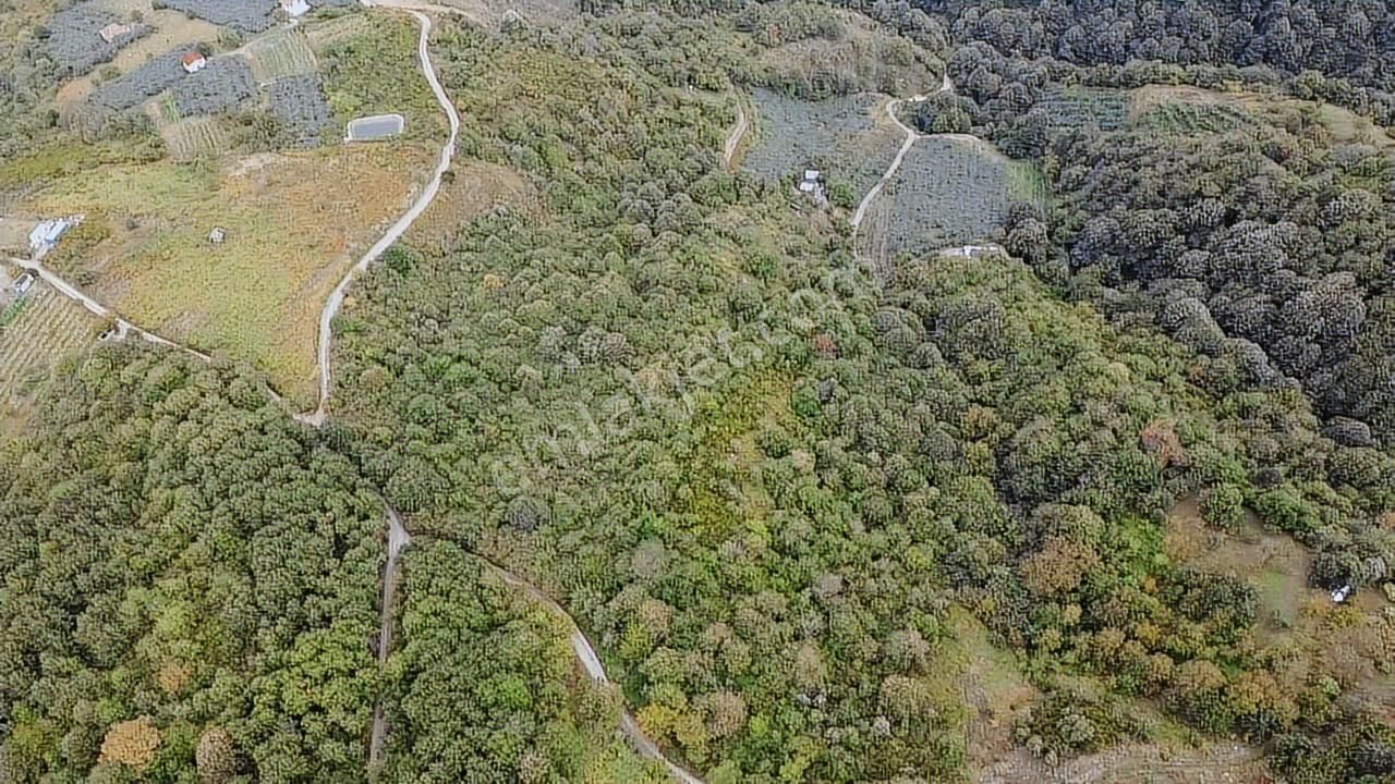 Örcün'de 23.852m2 Yatırımlık Fırsat Tarla - Görsel 8