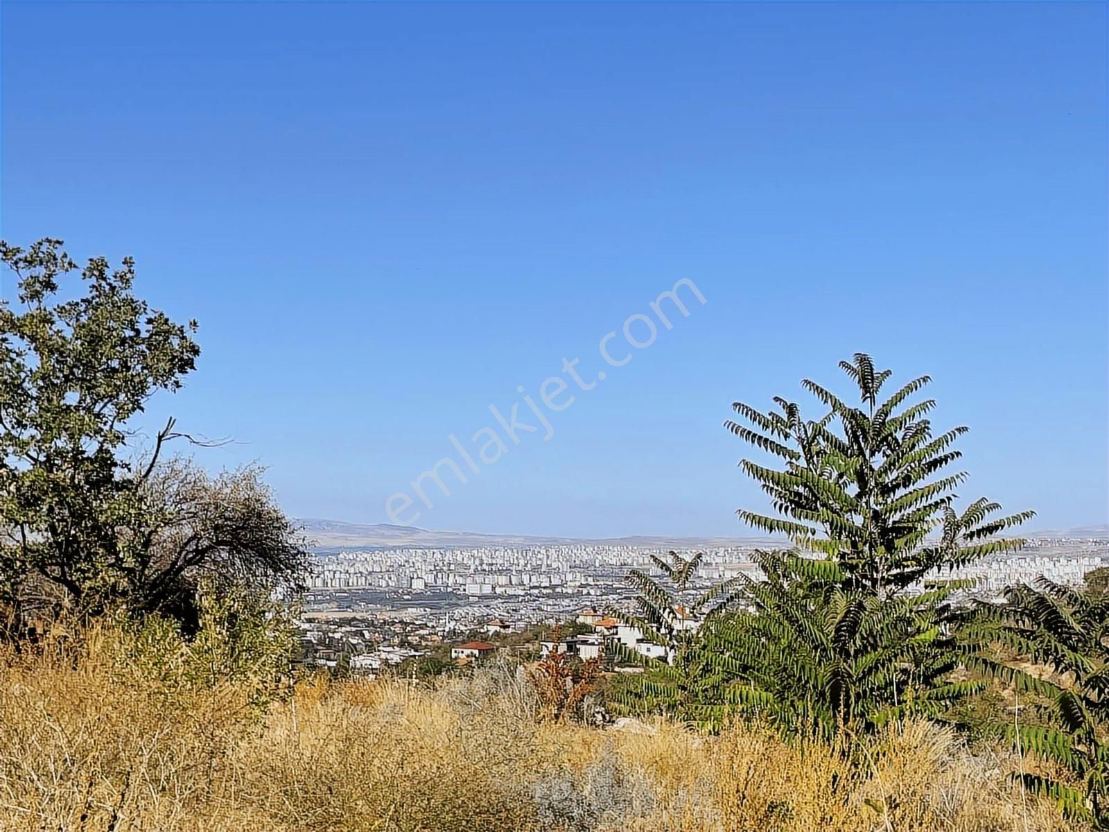 Hacılar Arsa Ofisi | Erciyes Mh. 1 Parsel Fiyatina 2 Parsel - Görsel 4