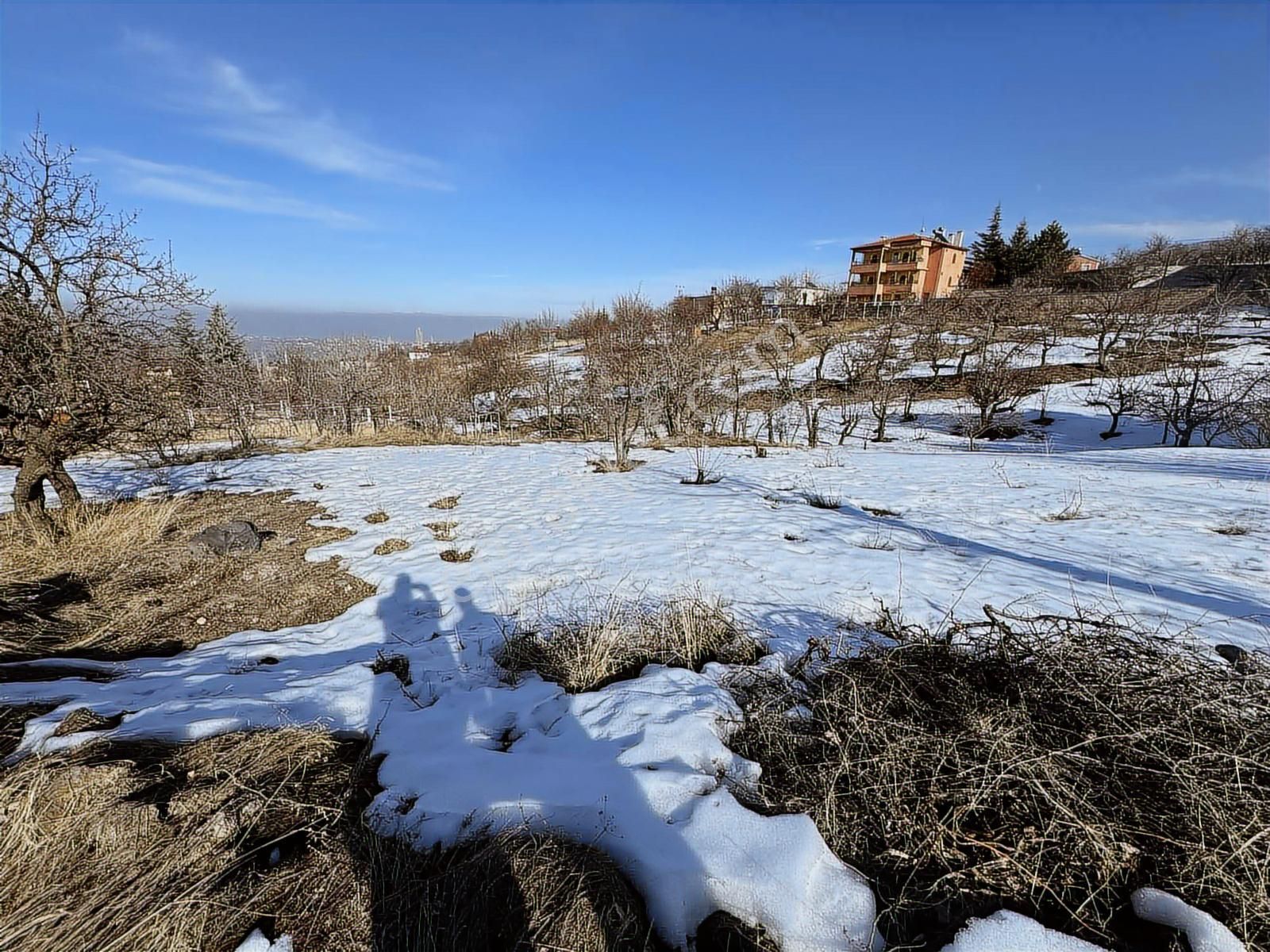 Hacılar Arsa Ofisi Konal'dan Eşmecikte 1100mt Bağ
