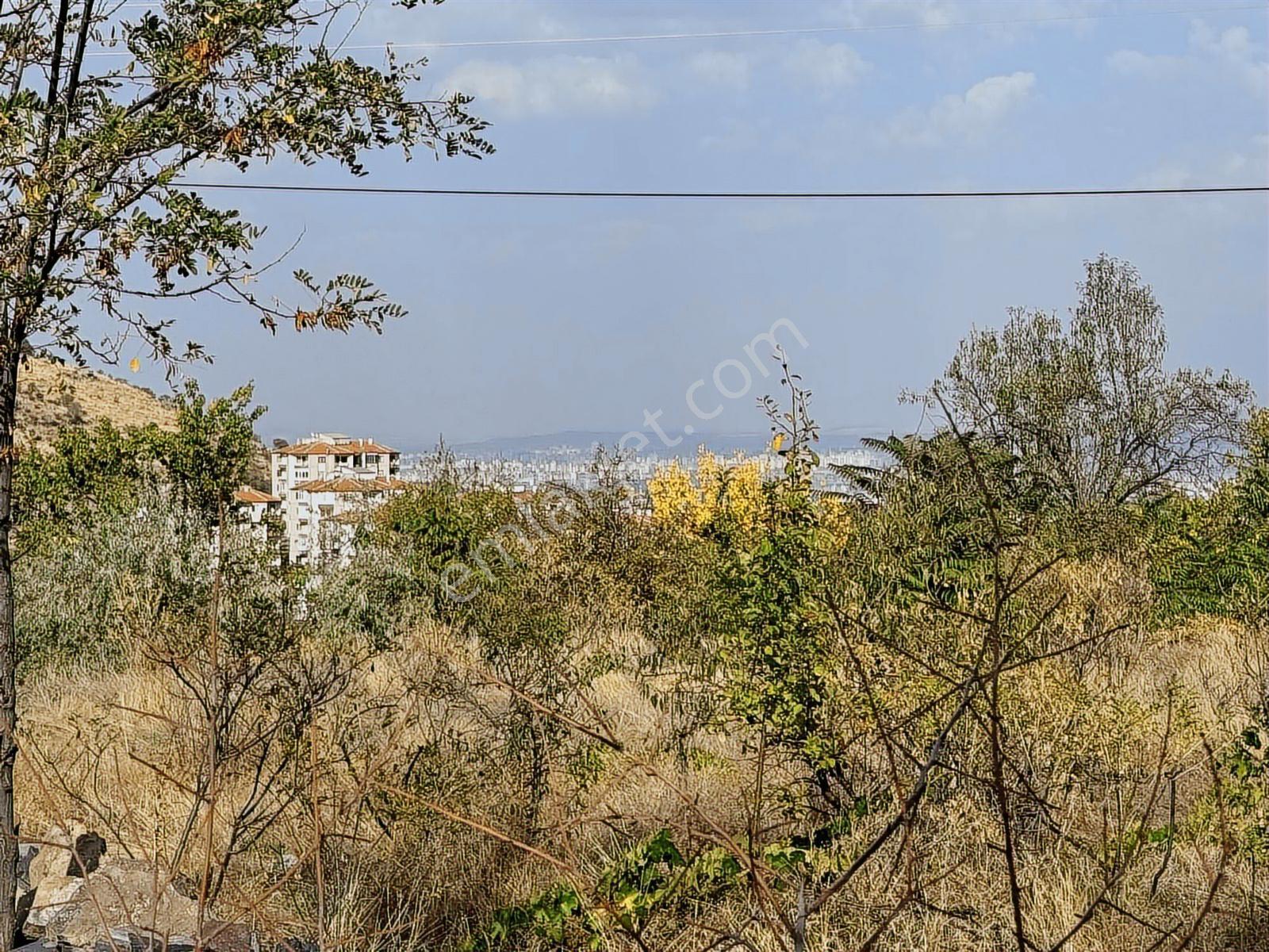 Hacılar Akyazıda Temiz 1000 Mt Parsel