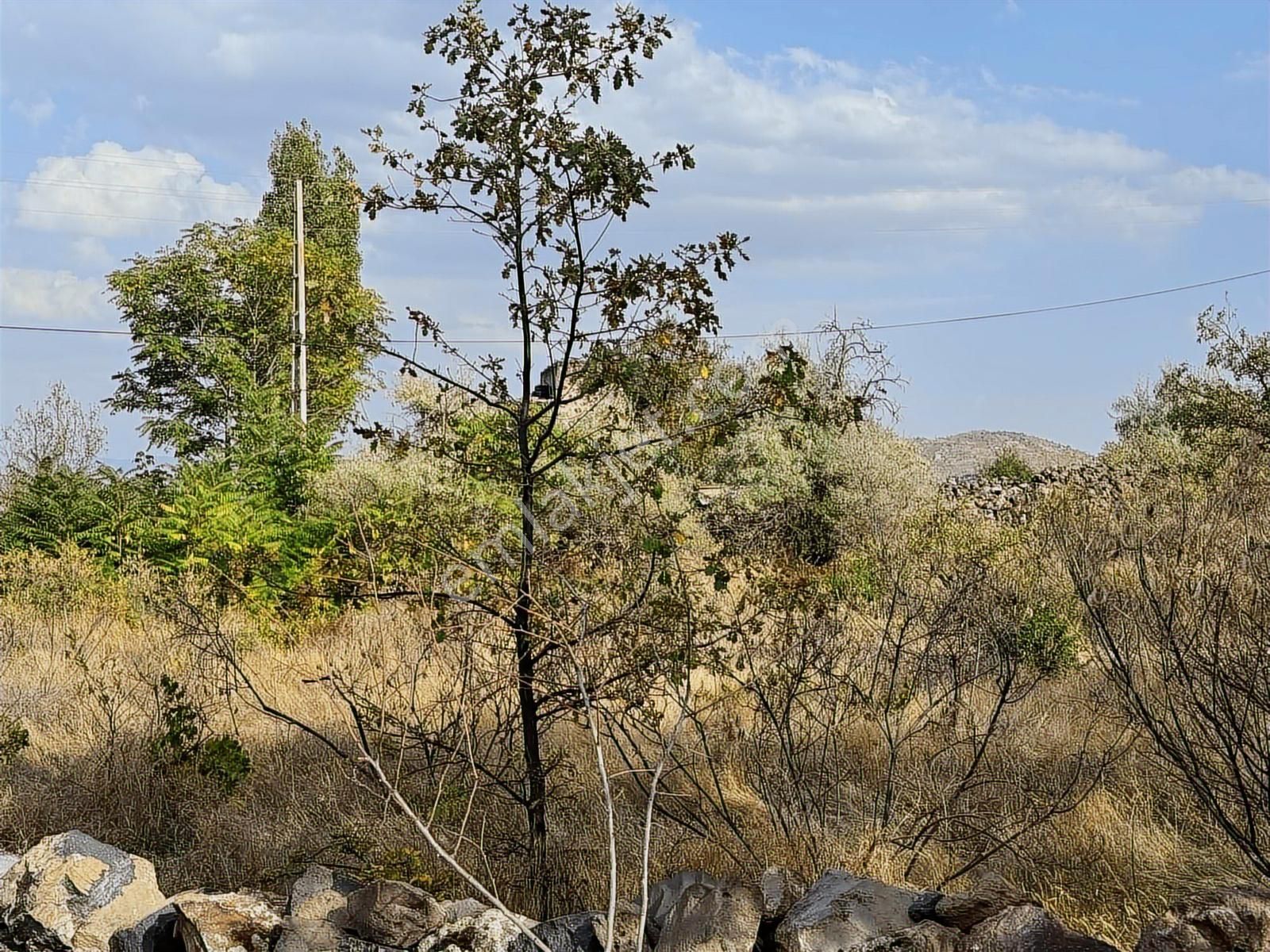Hacılar Akyazıda Temiz 1000 Mt Parsel - Görsel 5