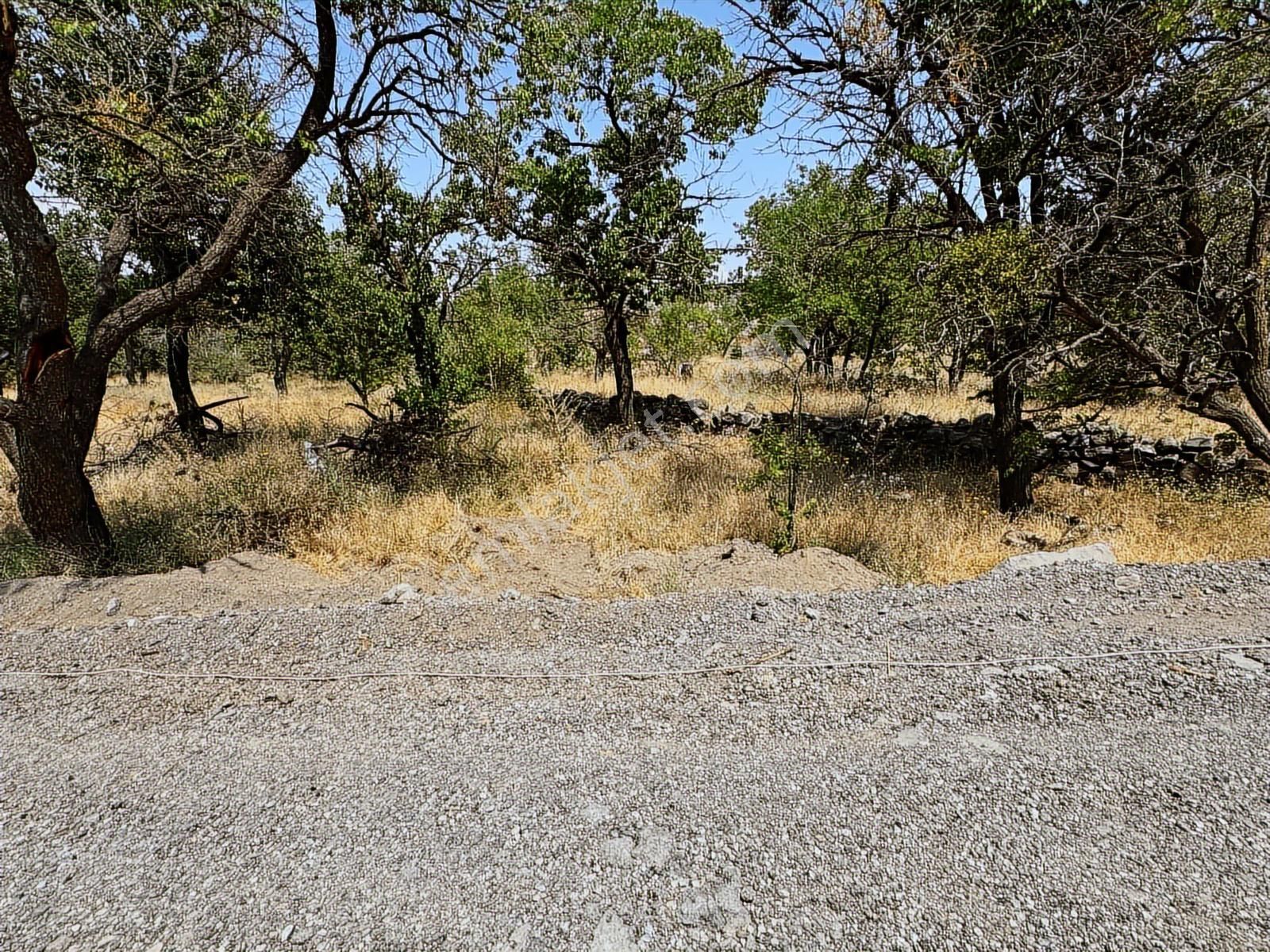 Hacılar Yukarı 474 Mt Temiz Villa Parseli - Görsel 5