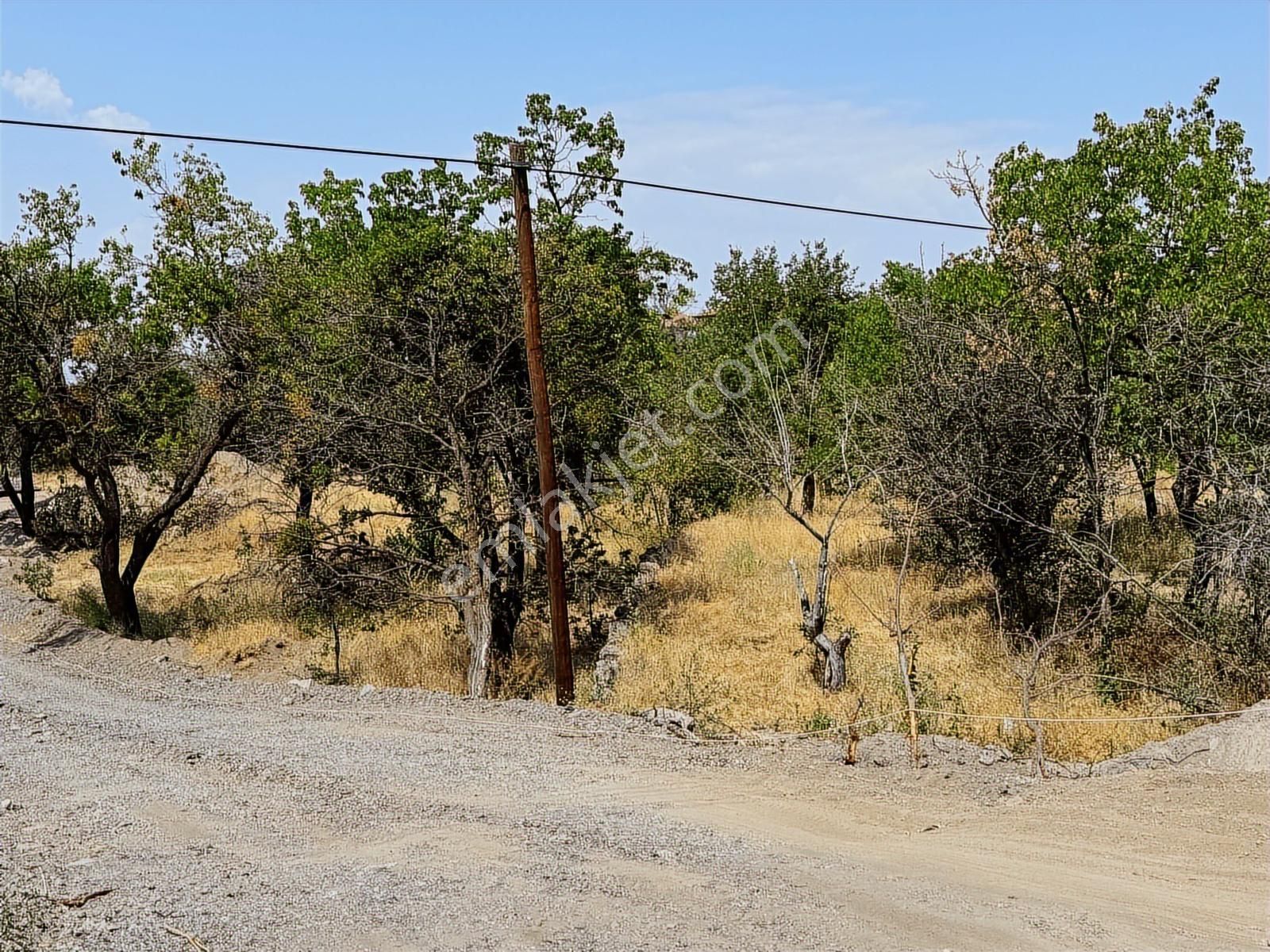 Hacılar Yukarı 474 Mt Temiz Villa Parseli - Görsel 7