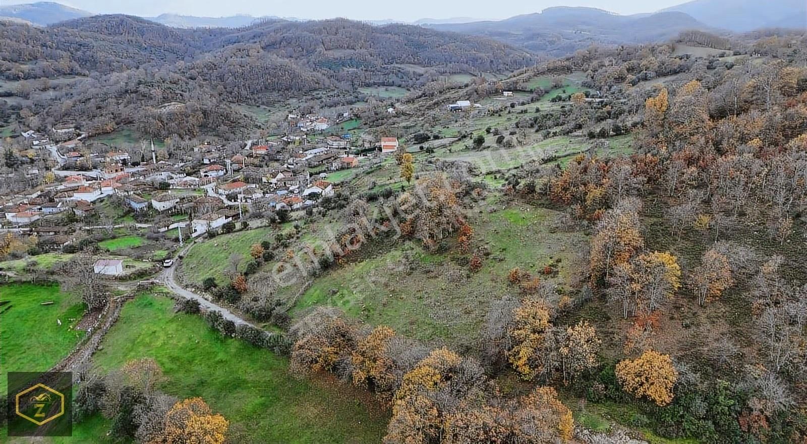Zeybek Emlaktan Canbazda Köy İçi 3132 Metrekare Arazimiz Satılık - Görsel 3