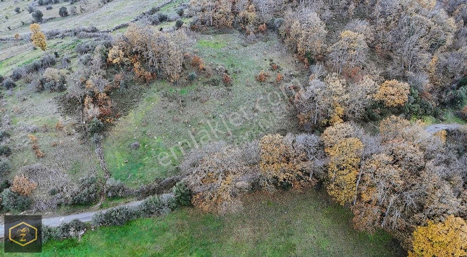 Zeybek Emlaktan Canbazda Köy İçi 3132 Metrekare Arazimiz Satılık - Görsel 8