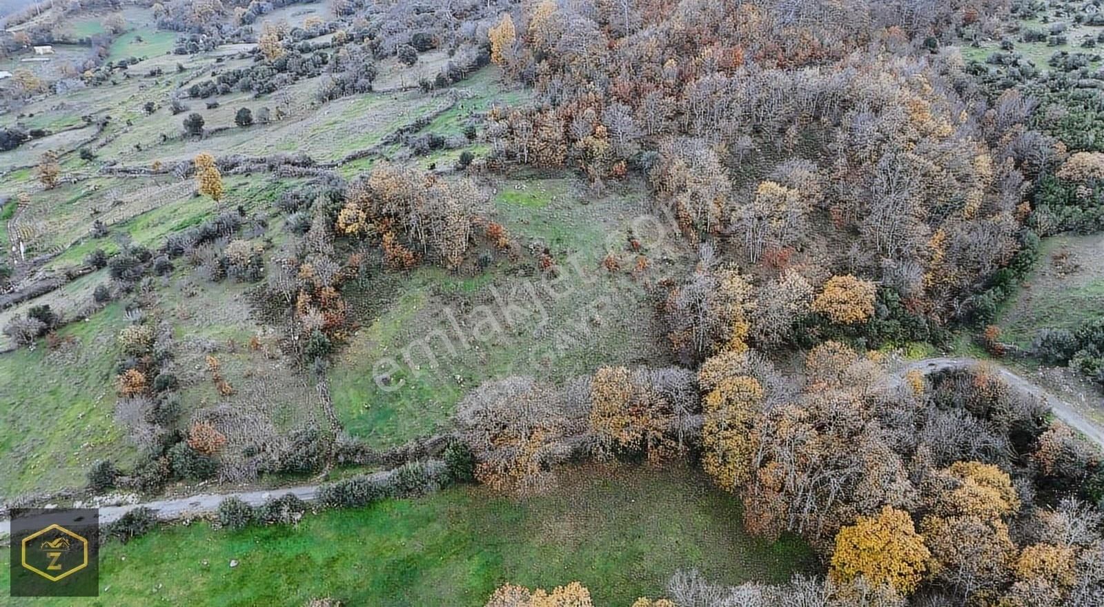 Zeybek Emlaktan Canbazda Köy İçi 3132 Metrekare Arazimiz Satılık - Görsel 27