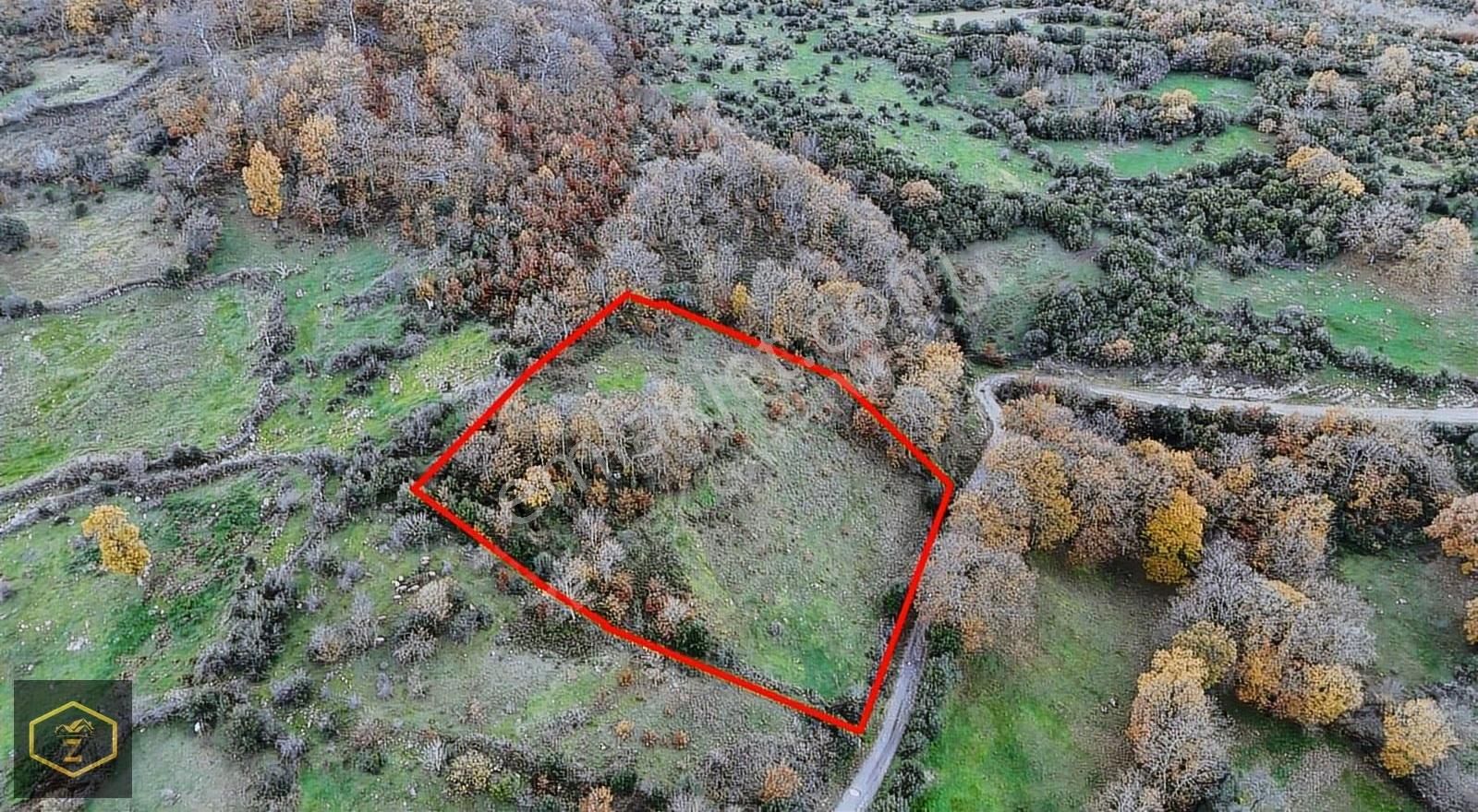 Zeybek Emlaktan Canbazda Köy İçi 3132 Metrekare Arazimiz Satılık - Görsel 20