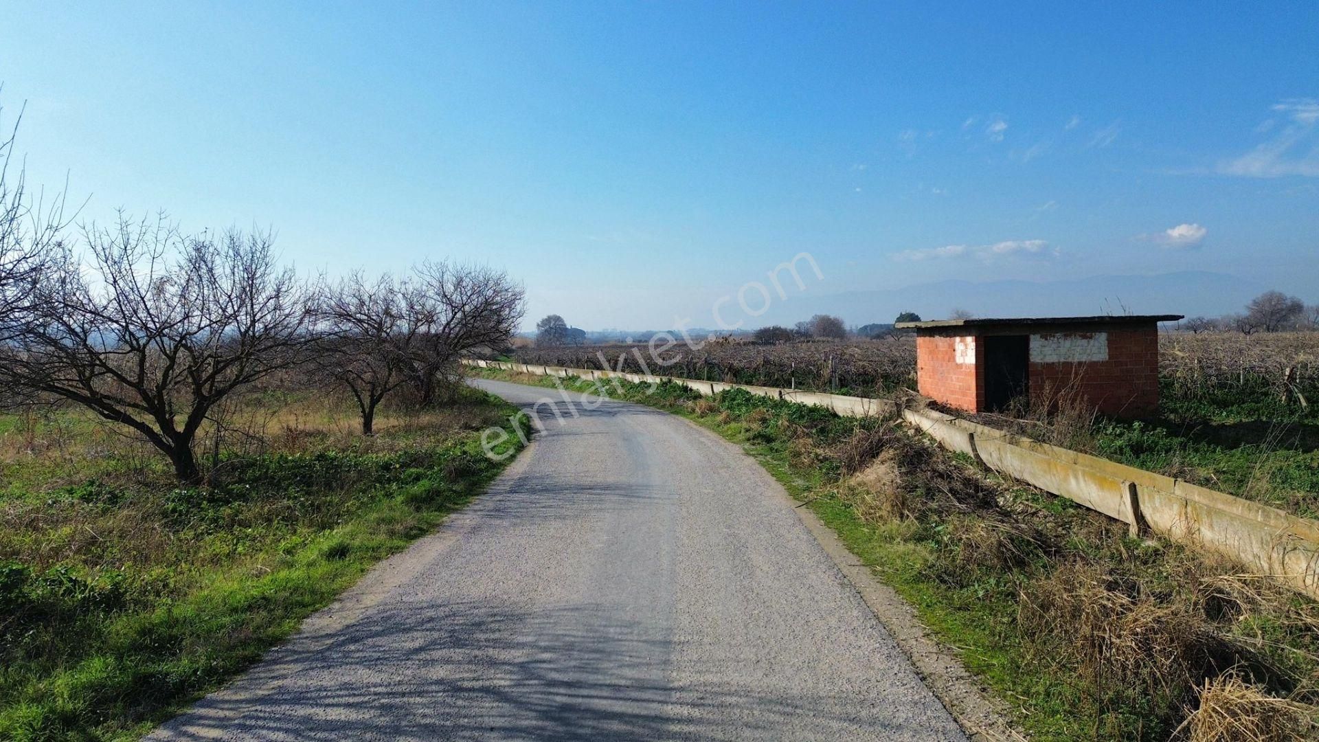 Turgutlu Satılık Bağ 10. Mıntıka 6.700m2 55m2 Prefabrikev 7kw Jenaratör 70 Adet Ağaç Su Ve Yolu Var - Görsel 16