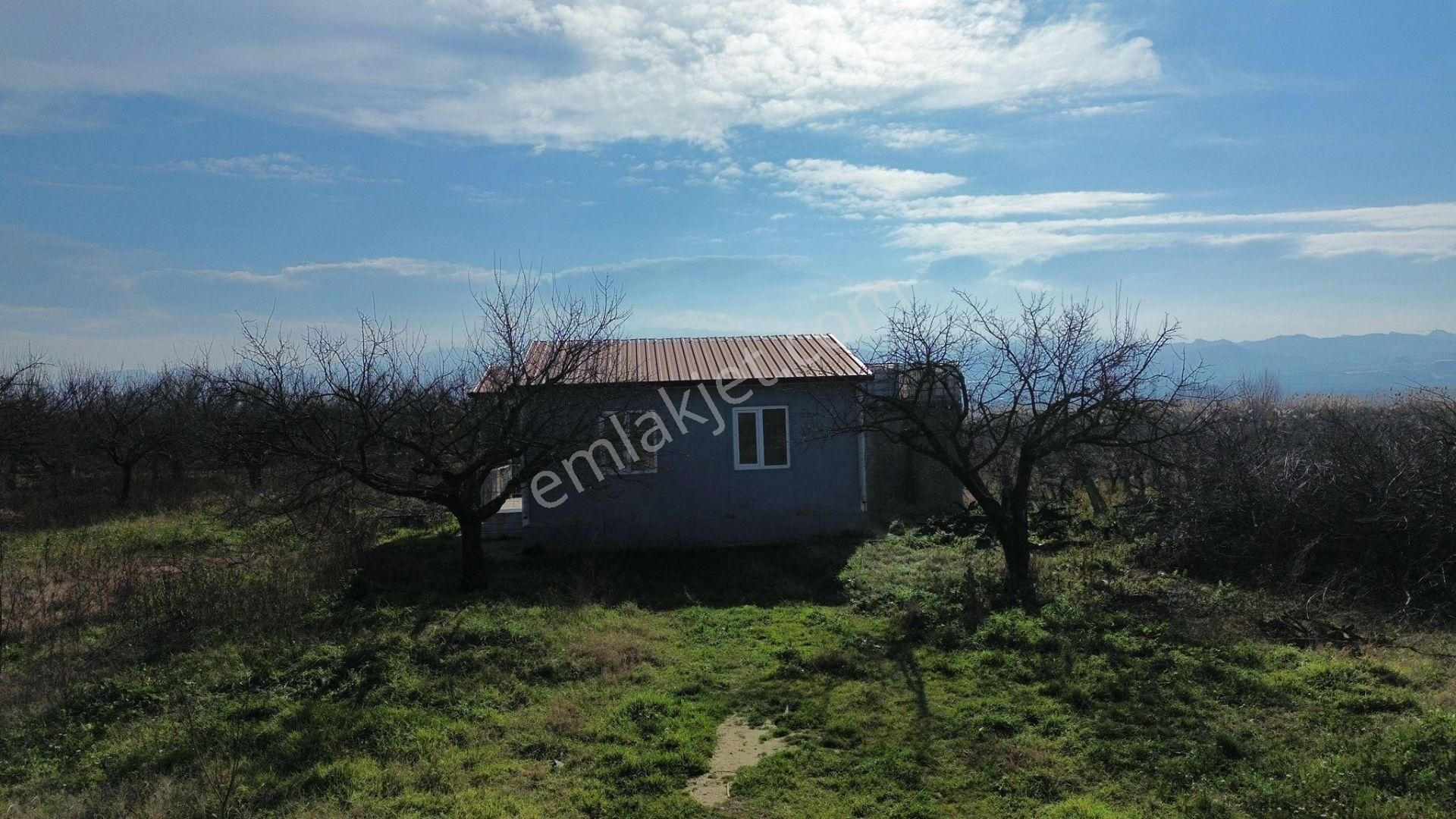 Turgutlu Satılık Bağ 10. Mıntıka 6.700m2 55m2 Prefabrikev 7kw Jenaratör 70 Adet Ağaç Su Ve Yolu Var - Görsel 4