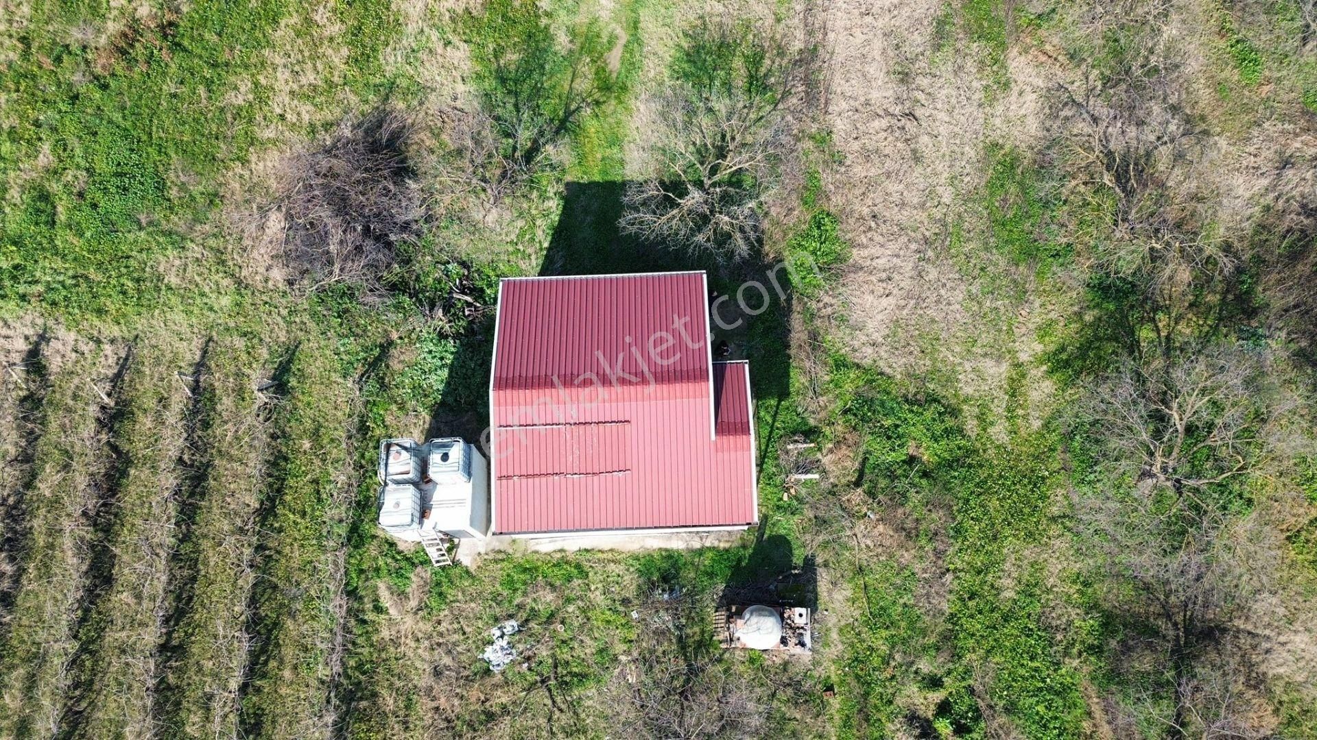 Turgutlu Satılık Bağ 10. Mıntıka 6.700m2 55m2 Prefabrikev 7kw Jenaratör 70 Adet Ağaç Su Ve Yolu Var - Görsel 18