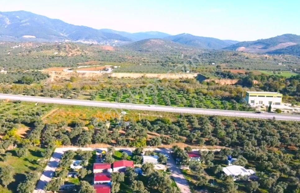 Torbalı Çakırbeyli'de İçinde Ev Olan Site İçi Fırsat Zeytinlik - Görsel 20
