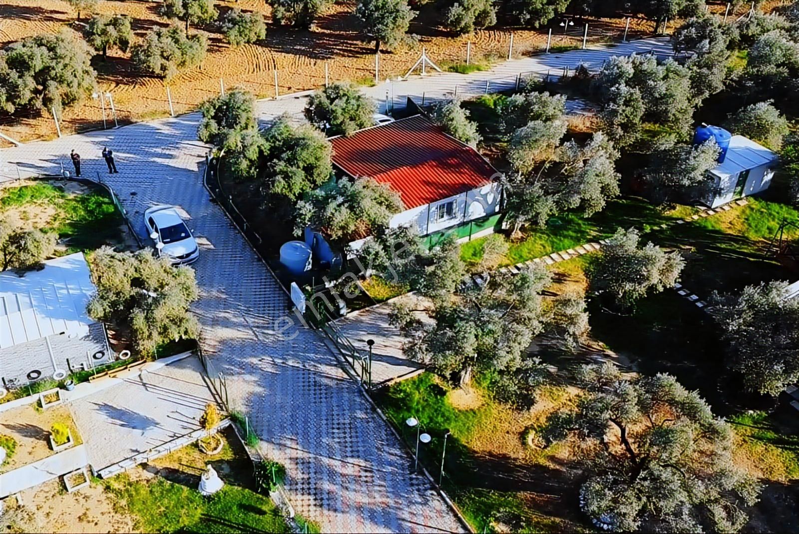 Torbalı Çakırbeyli'de İçinde Ev Olan Site İçi Fırsat Zeytinlik - Görsel 9