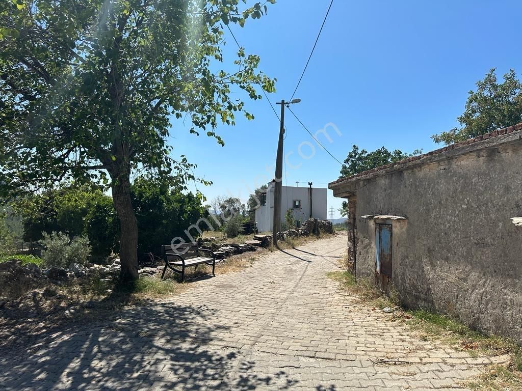 Milas Çiftlik Köyiçi Satılık Yatırımlık Tarla - Görsel 6