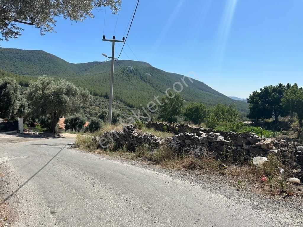 Milas Çiftlik Köyiçi Satılık Yatırımlık Tarla - Görsel 2