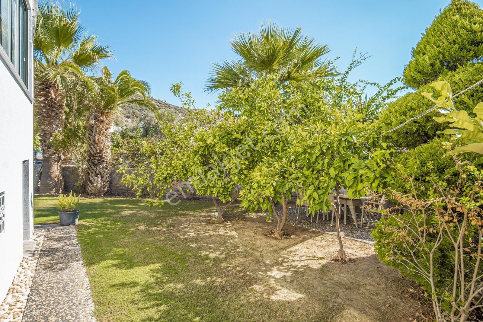 Bodrum Umurca'da Deniz Manzaralı Özel Bahçeli Satılık 3+1 Villa - Görsel 3