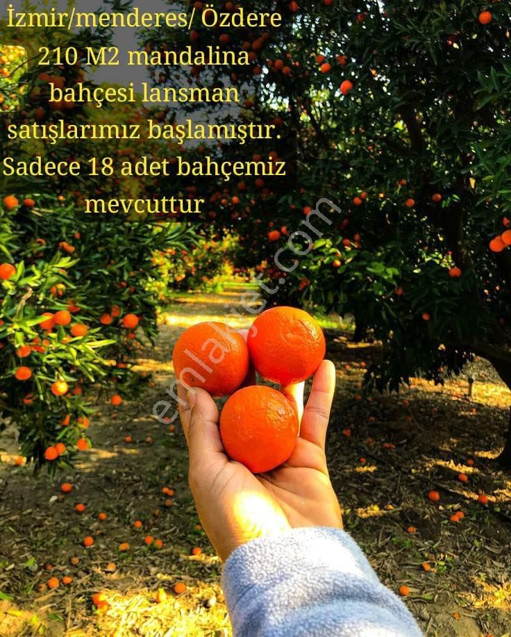 210m2 Satılık Mandalina Bahçesi - Görsel 5