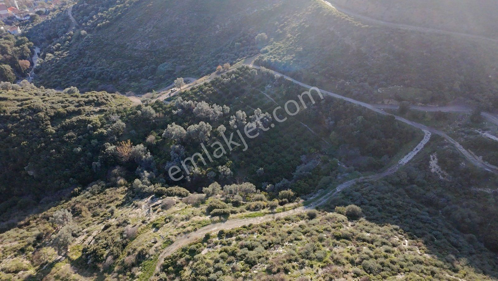 210m2 Satılık Mandalina Bahçesi - Görsel 2