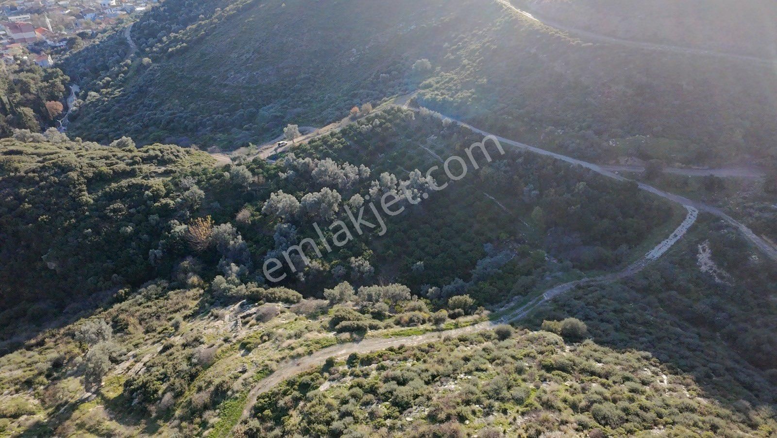 210m2 Satılık Mandalina Bahçesi - Görsel 4