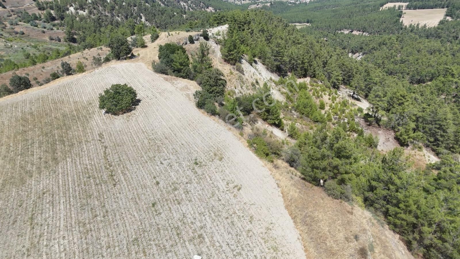 Denizli Kale Ortaköy'de Yatırımlık Fırsat Arazi!!! - Görsel 17