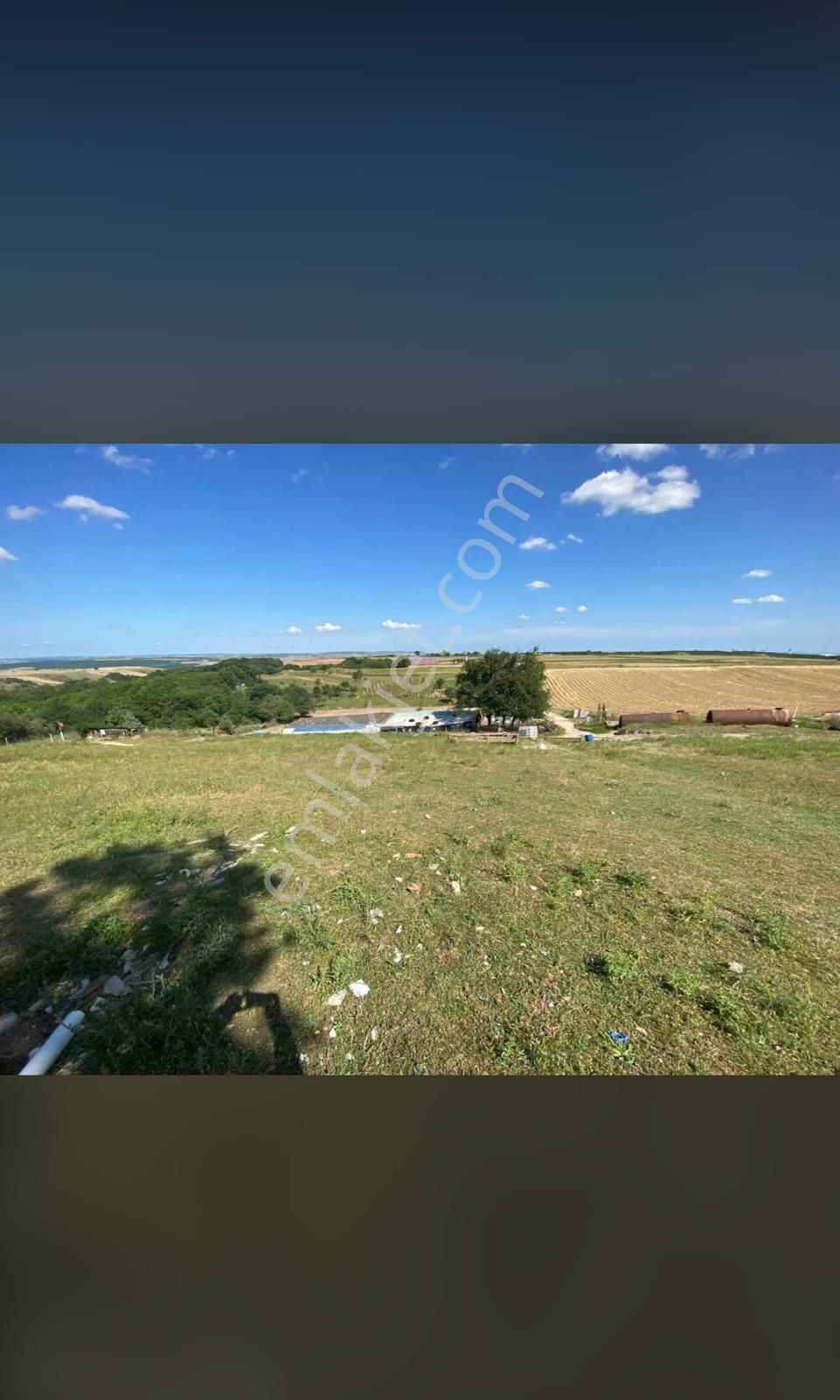 Tekirdağ Çorlu Önerler’de Satılık Tarla | Ada 467 Parsel 319 - Görsel 8