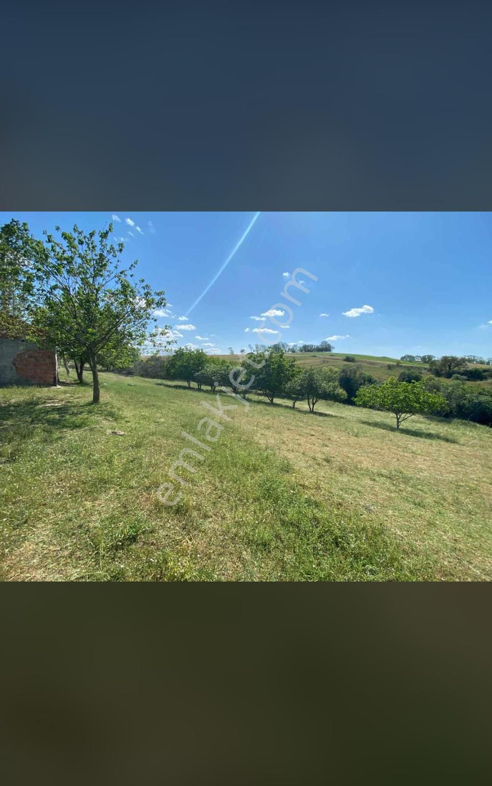 Tekirdağ Çorlu Önerler’de Satılık Tarla | Ada 467 Parsel 319 - Görsel 6