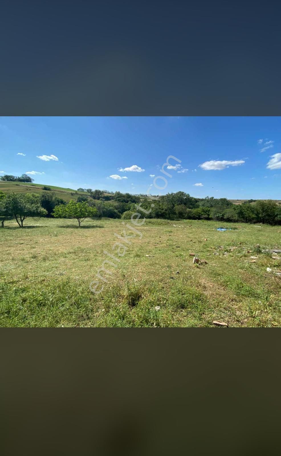 Tekirdağ Çorlu Önerler’de Satılık Tarla | Ada 467 Parsel 319 - Görsel 7