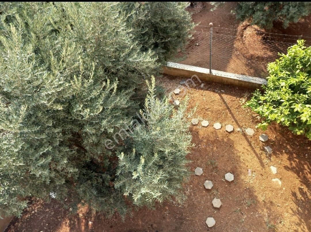 Çilem Gayrimenkul Den Acill Satılık Muhteşem 2 Katlı Müstakil Ev - Görsel 6