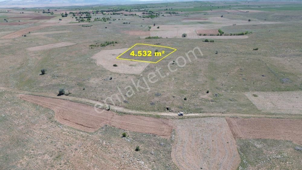 Konya / Akören / Tülce Mahallesinde 4.532 M² Müstakil Tapulu Tarla - Görsel 5