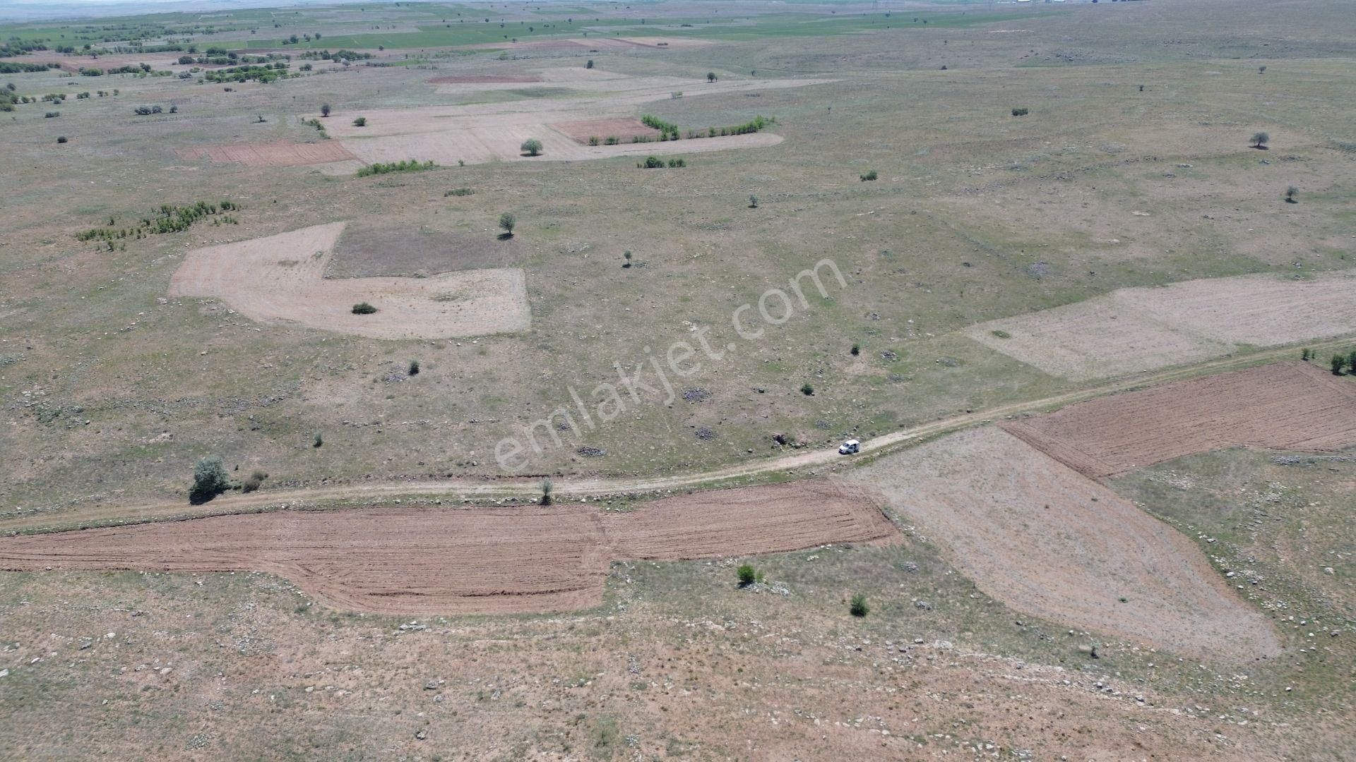 Konya / Akören / Tülce Mahallesinde 4.532 M² Müstakil Tapulu Tarla - Görsel 6