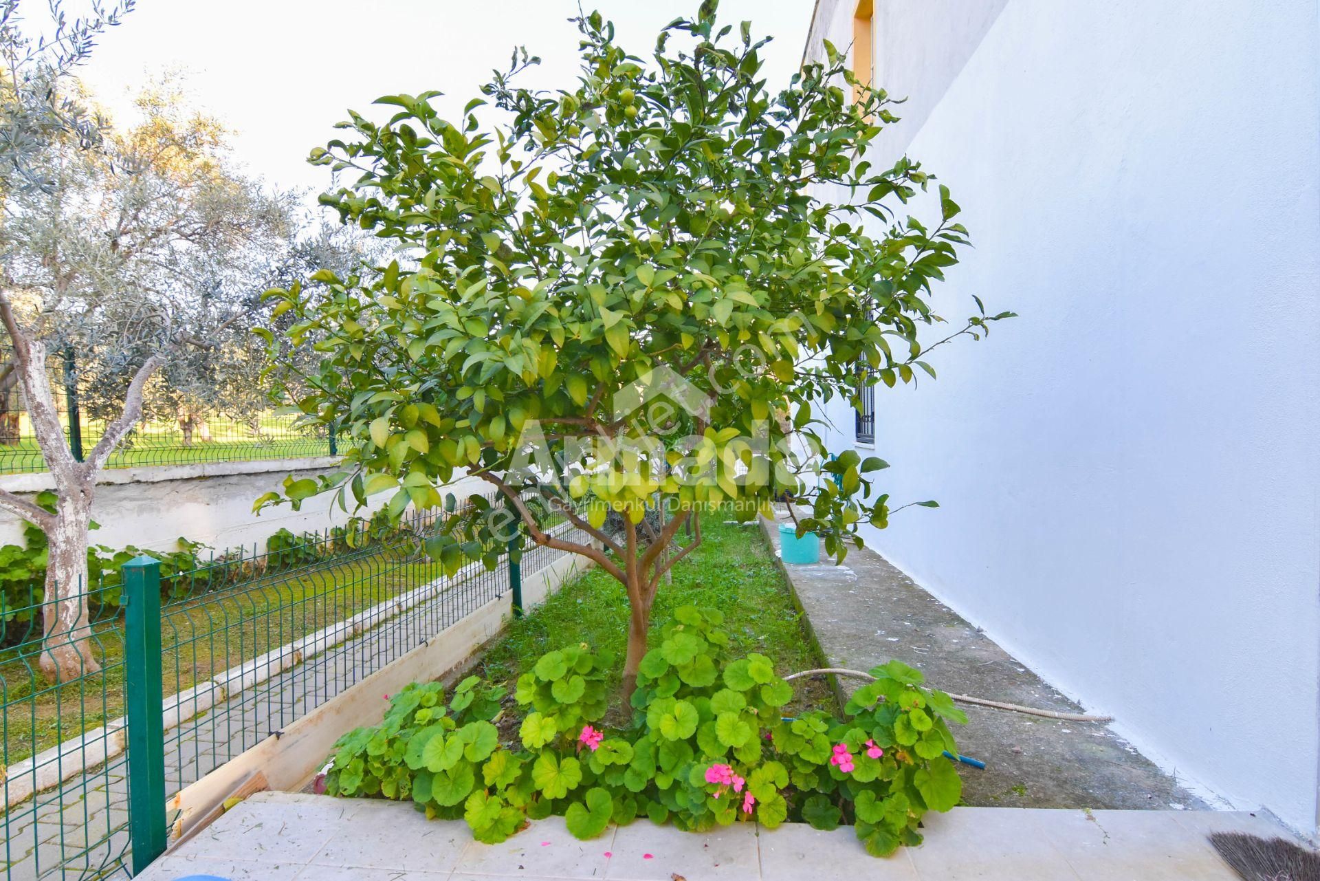 Kuşadası Yavansuda Geniş Bahçe Ve Metrekareye Sahip 1+1 Yazlık - Görsel 2