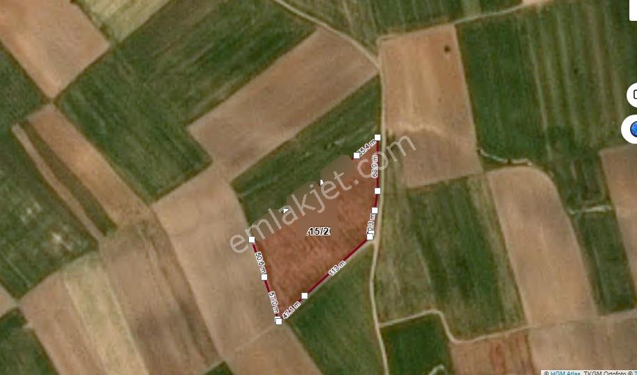 Edirne Tayakadın Köyü'nde Satılık Chandler Cins Ceviz Tarlası - Görsel 6