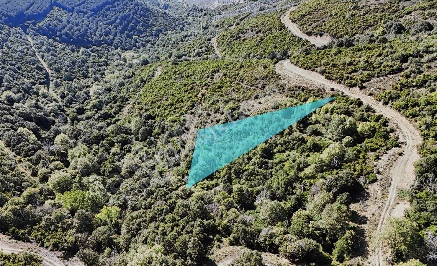 Küçükkumlada 1/5000lik İmar Planı İçerisinde 1464 M2 Fırsat