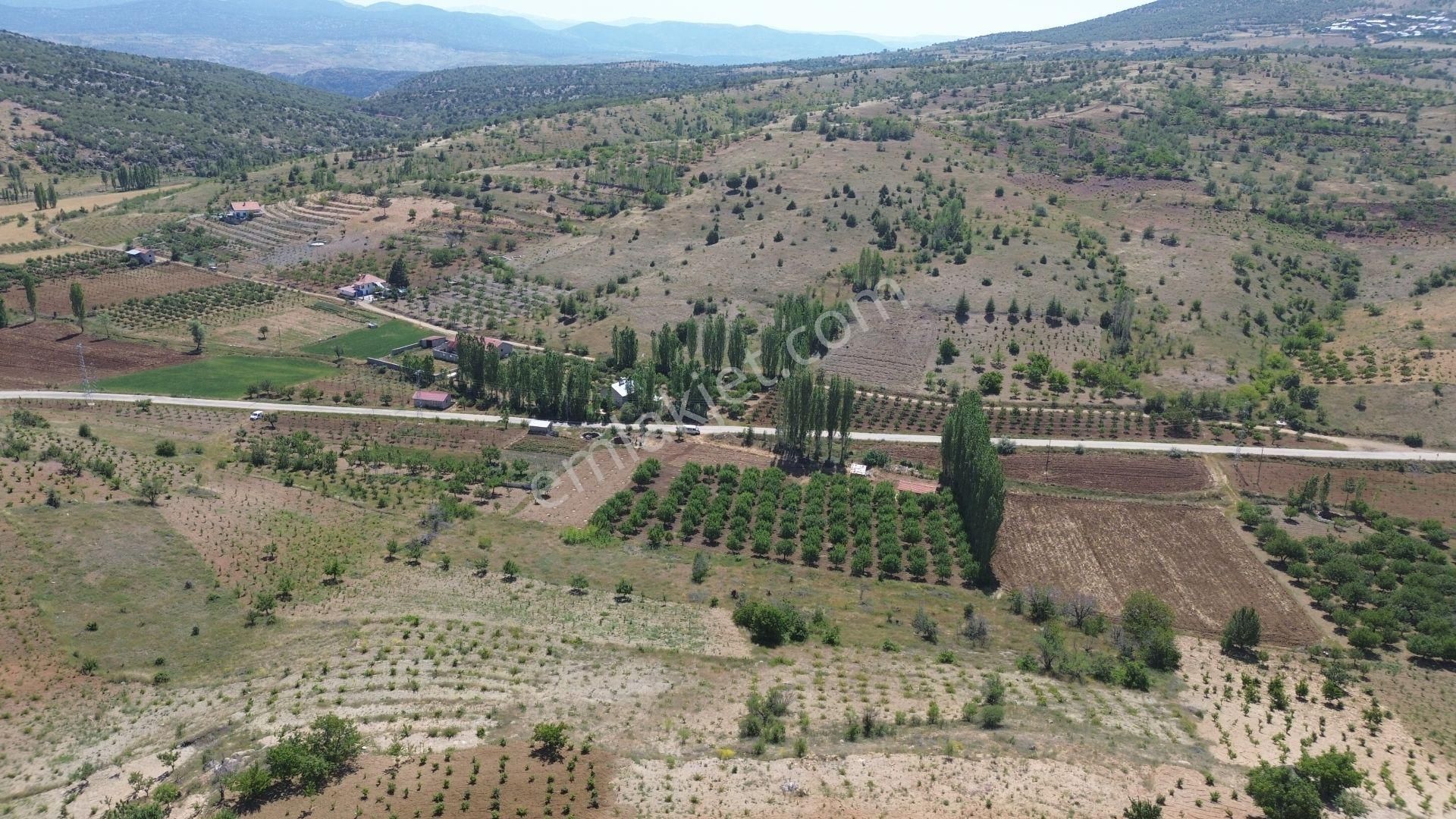Bozkır Hamzalar Da 1.648 M2 Müstakil Tapulu Asfalt Yola Yakın Bahçe - Görsel 4