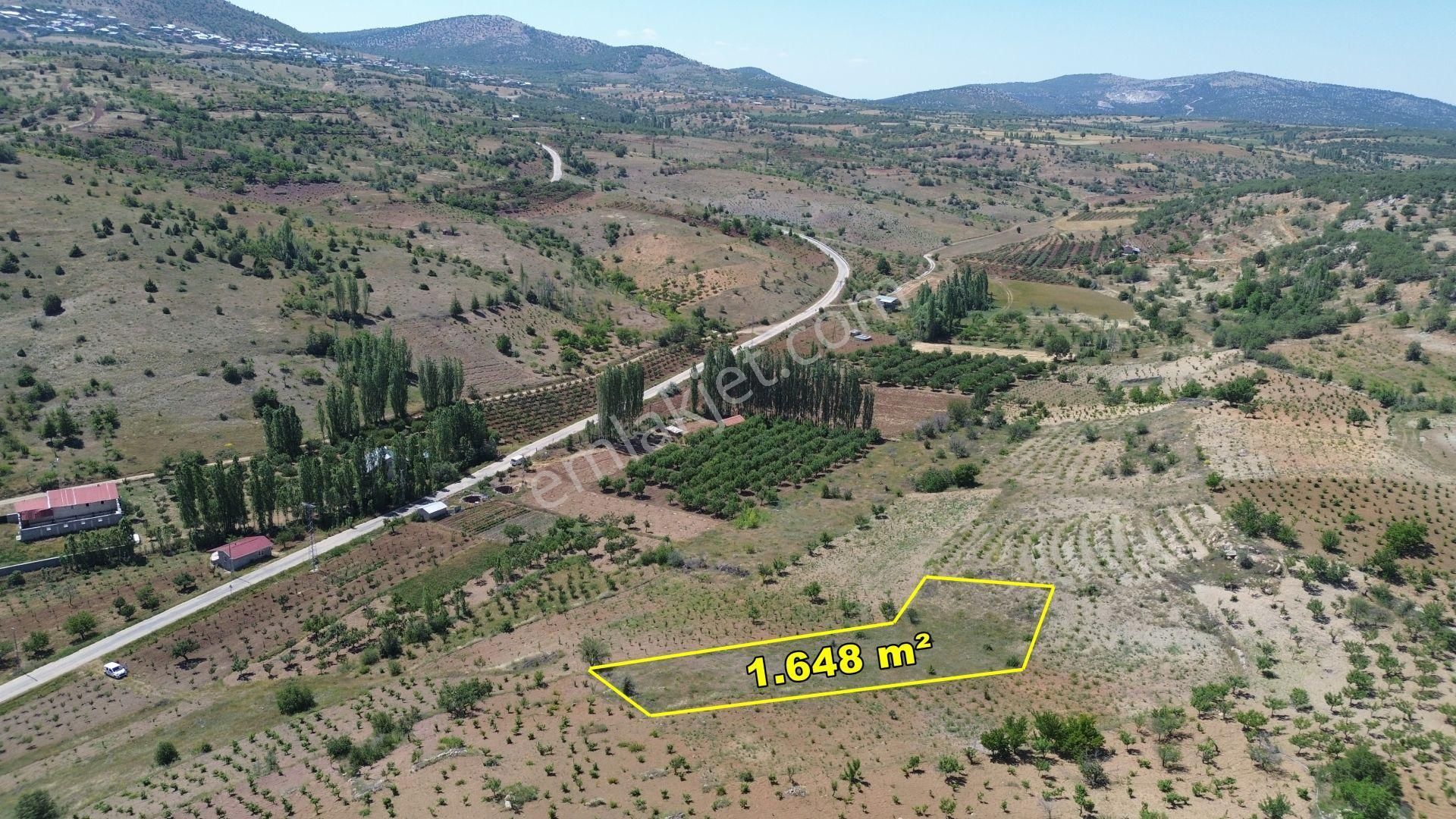 Bozkır Hamzalar Da 1.648 M2 Müstakil Tapulu Asfalt Yola Yakın Bahçe - Görsel 5