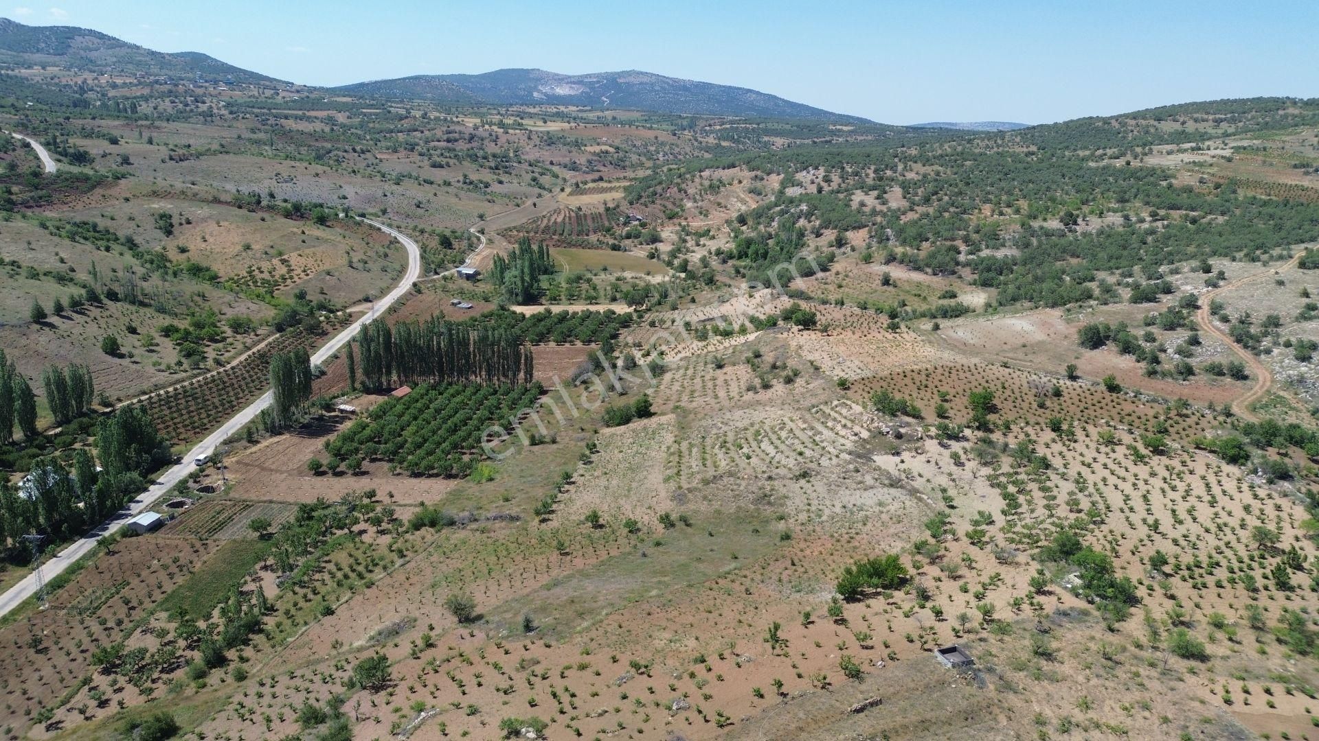 Bozkır Hamzalar Da 1.648 M2 Müstakil Tapulu Asfalt Yola Yakın Bahçe - Görsel 3
