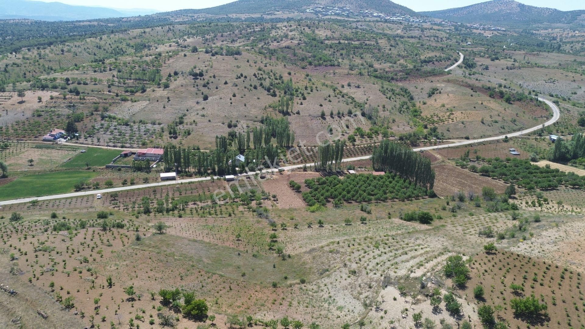 Bozkır Hamzalar Da 1.648 M2 Müstakil Tapulu Asfalt Yola Yakın Bahçe - Görsel 2