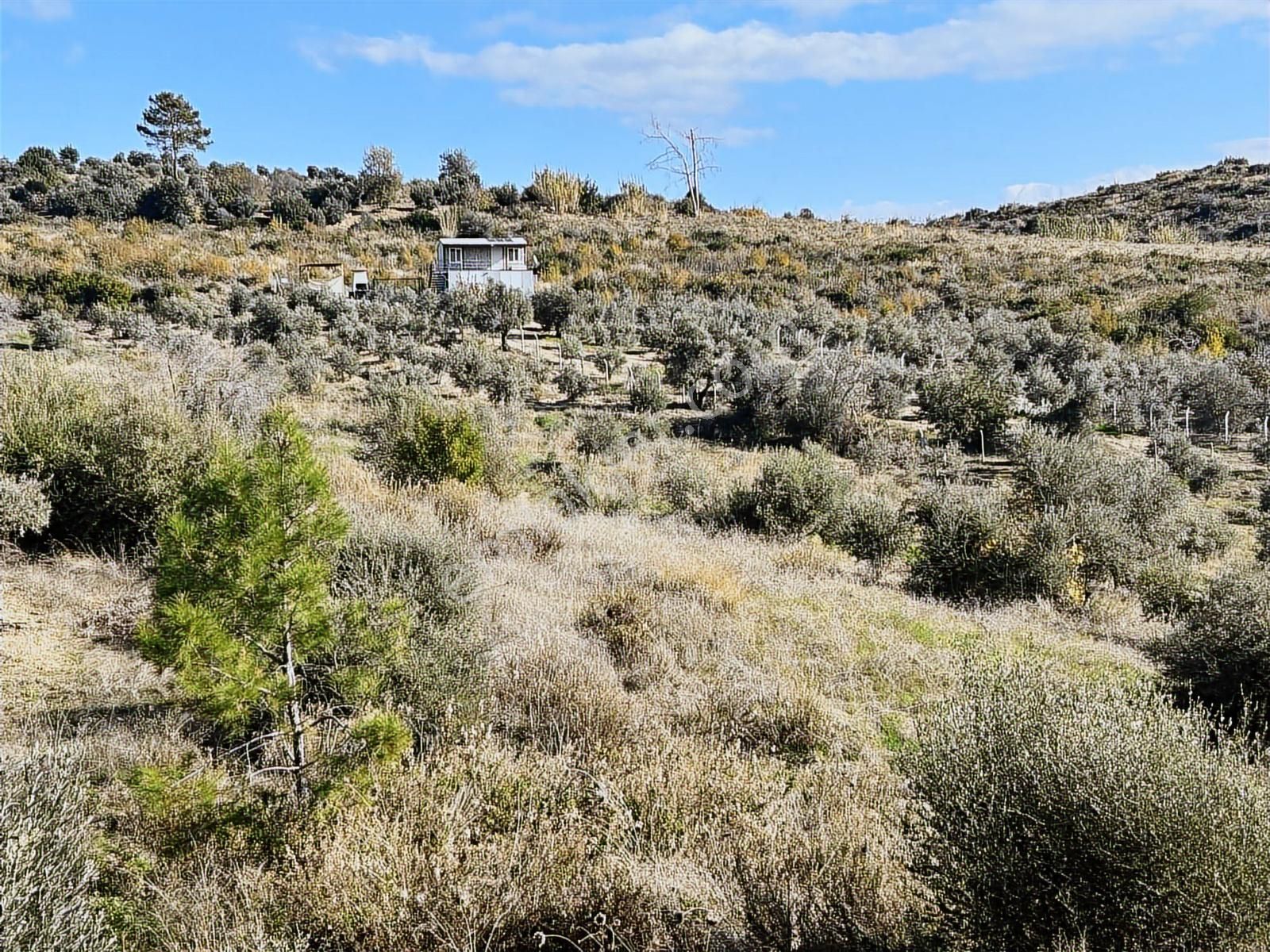 Evrenleryavşide Satılık Tarla - Görsel 9