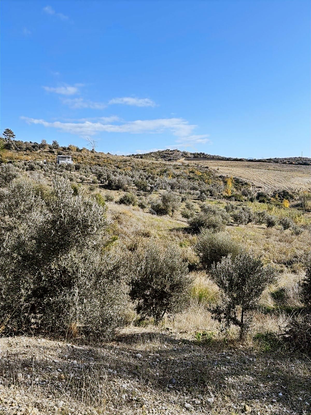 Evrenleryavşide Satılık Tarla - Görsel 10