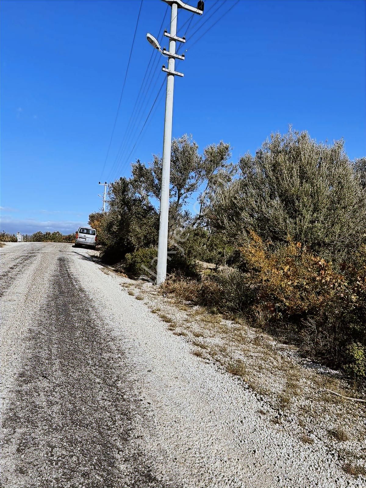 Evrenleryavşide Satılık Tarla - Görsel 12