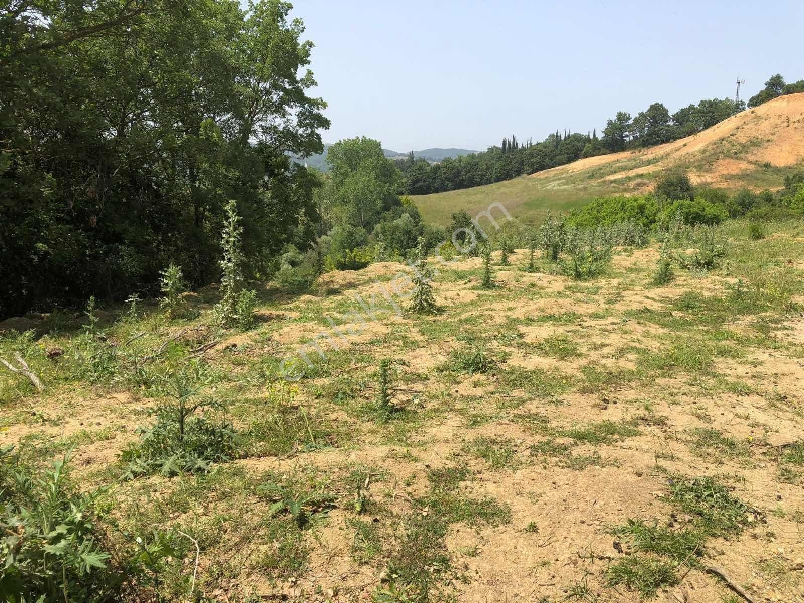 Kadıköy'de Asfalt Cepheli Yatırımlık Tarla - Görsel 11