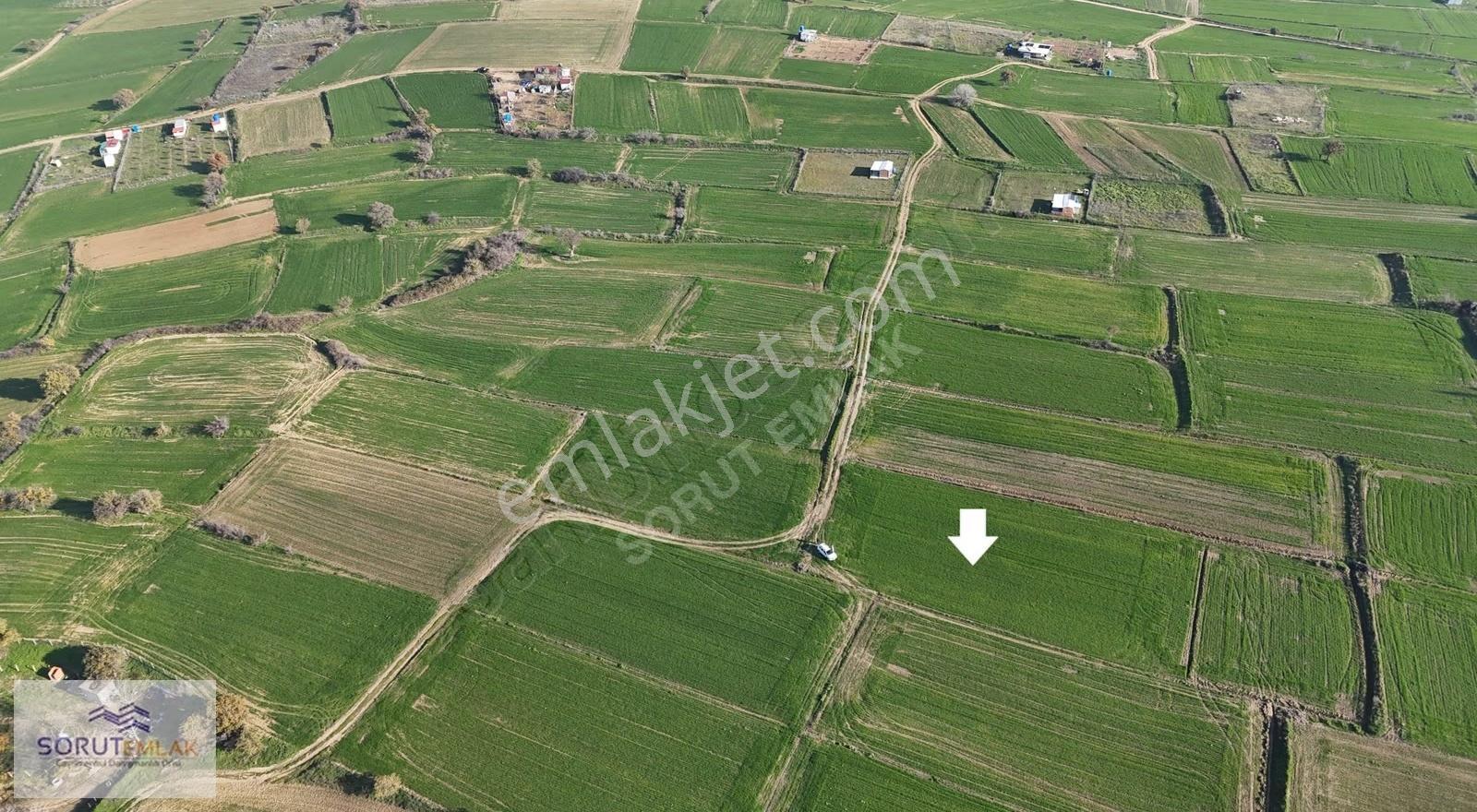 Keşan Mecidiye Köyünde Satılık 1.015 M² Müstakil Tapulu Tarla