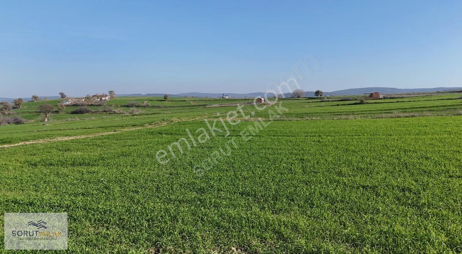 Keşan Mecidiye Köyünde Satılık 1.015 M² Müstakil Tapulu Tarla - Görsel 2