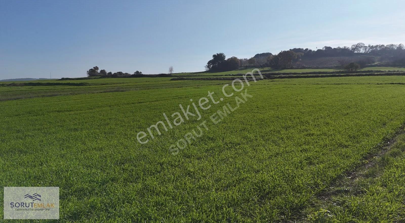 Keşan Mecidiye Köyünde Satılık 1.015 M² Müstakil Tapulu Tarla - Görsel 20